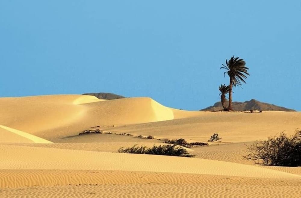 Santa Monica, Cave, San Dunes & Shipwreck, Sal Rei Town | ®ExcursionMania - Image 2