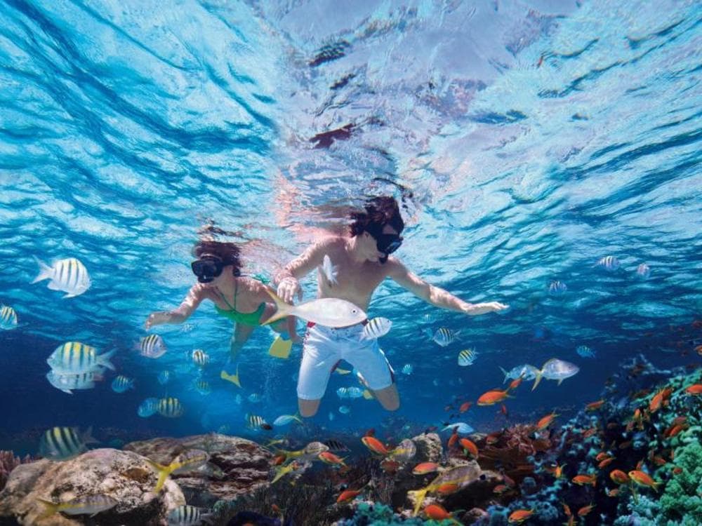 Marmaris Snorkeling Tour:  Discover Marmaris’ Secret Aquatic World | ®ExcursionMania - Image 2