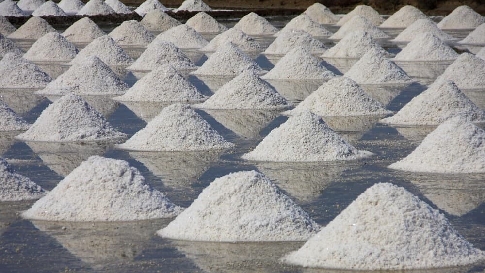 Salt Pans & Lemon Sharks Experience | ®ExcursionMania - Image 2