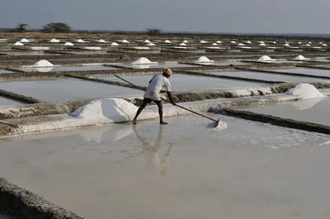 Salt Pans & Lemon Sharks Experience | ®ExcursionMania - Image 5
