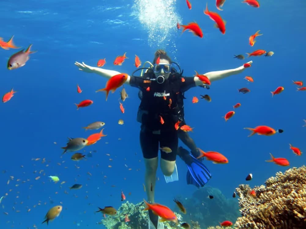 Hurghada: Platinum Orange Bay Snorkeling Cruise with Lunch | ®ExcursionMania - Image 3