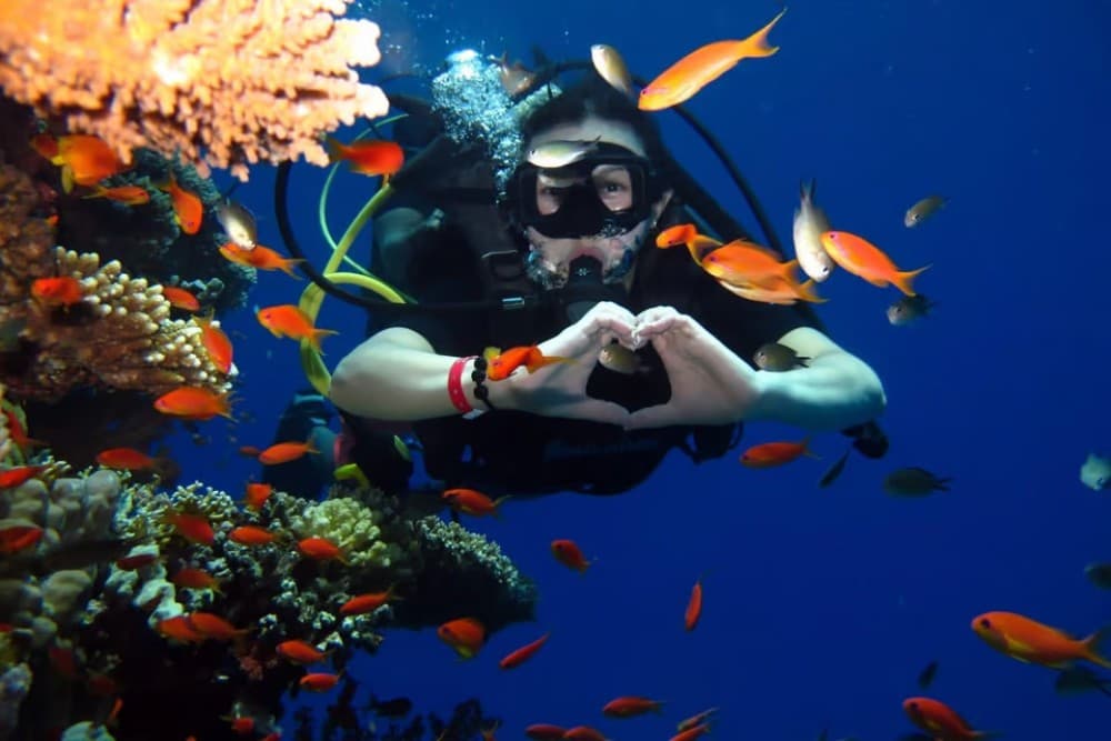 Hurghada: Intro Diving & Snorkeling Tour with Lunch & Drinks | ®ExcursionMania - Image 7