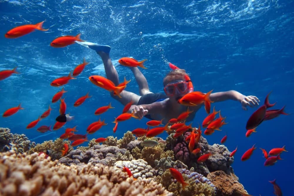 Hurghada: Intro Diving & Snorkeling Tour with Lunch & Drinks | ®ExcursionMania - Image 3