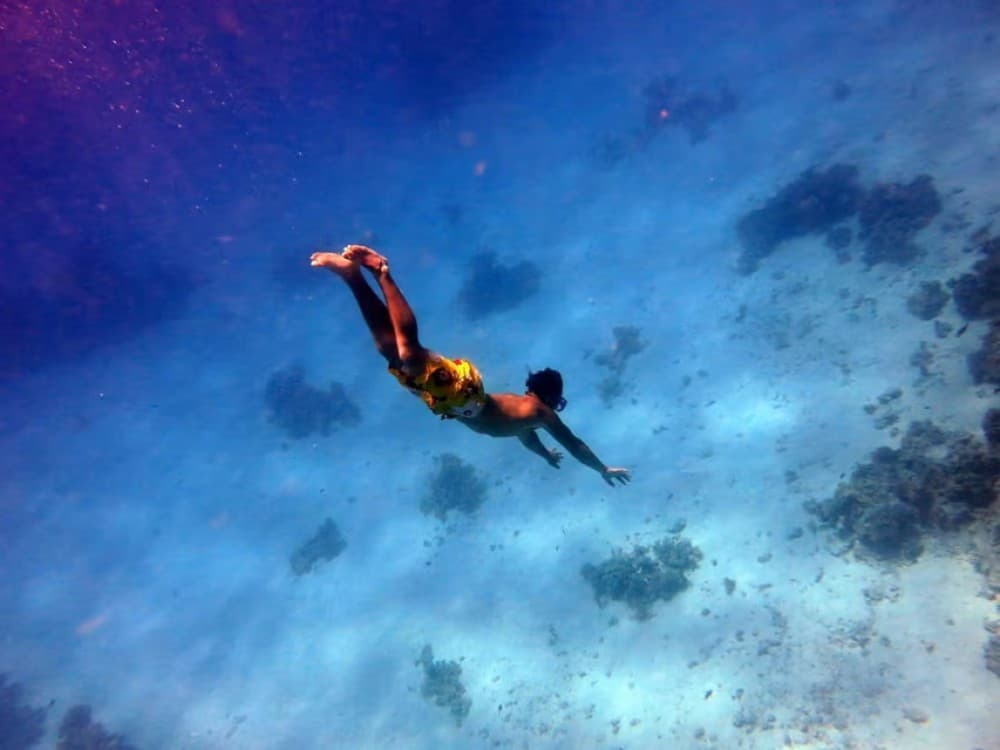 Hurghada: Dolphin Watching Snorkeling Cruise with Lunch | ®ExcursionMania - Image 2