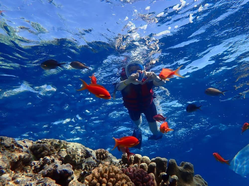 Hurghada: Dolphin Watching Snorkeling Cruise with Lunch | ®ExcursionMania - Image 5