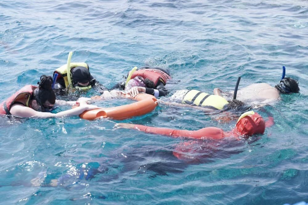 Hurghada: Dolphin Watching Snorkeling Cruise with Lunch | ®ExcursionMania - Image 6