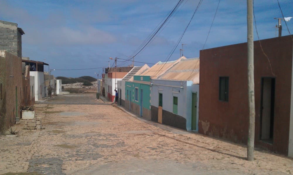 Island tour & cattle & Taste local flavors | ®ExcursionMania - Image 2