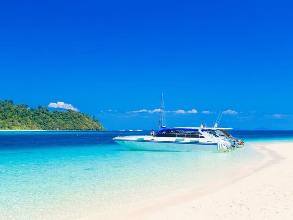 Phuket: Koh Rok and Koh Ha Day Trip Best of Marine Park | ®ExcursionMania - Image 6