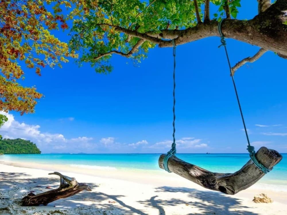 Phuket: Koh Rok and Koh Ha Day Trip Best of Marine Park | ®ExcursionMania - Image 7