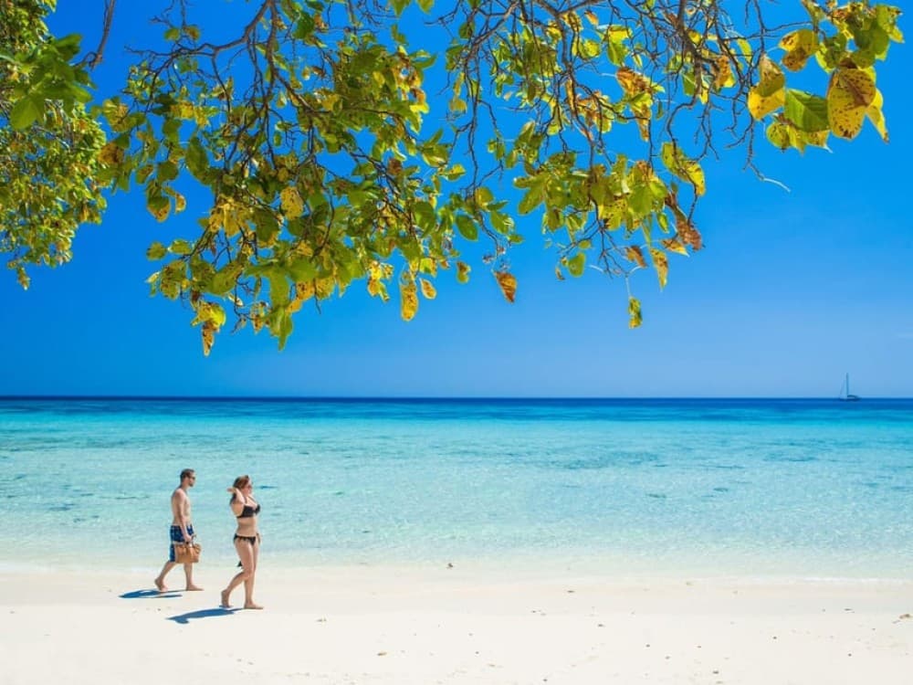 Phuket: Koh Rok and Koh Ha Day Trip Best of Marine Park | ®ExcursionMania - Image 8