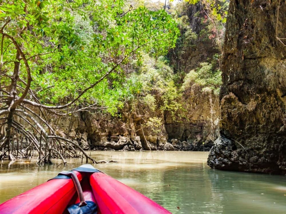 Phuket: James Bond Island Speedboat Tour with Canoeing | ®ExcursionMania - Image 5