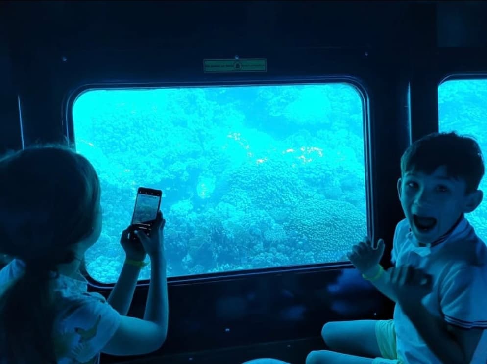 Sharm El-Sheikh: Royal Seascope Submarine Cruise with Pickup | ®ExcursionMania - Image 11