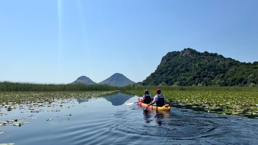 Skadar Lake: Guided tour on Kayak or Paddle board