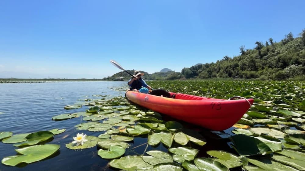 Skadar Lake: Guided tour on Kayak or Paddle board | ®ExcursionMania - Image 4