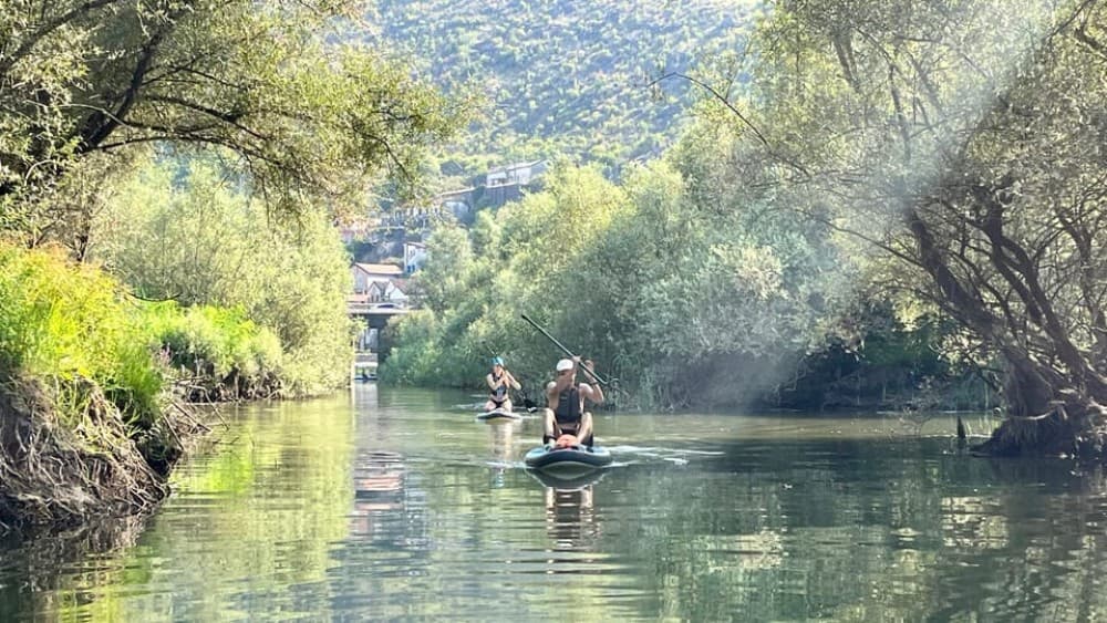 Skadar Lake: Guided tour on Kayak or Paddle board | ®ExcursionMania - Image 5