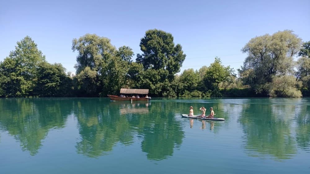 Skadar Lake: Guided tour on Kayak or Paddle board | ®ExcursionMania - Image 9