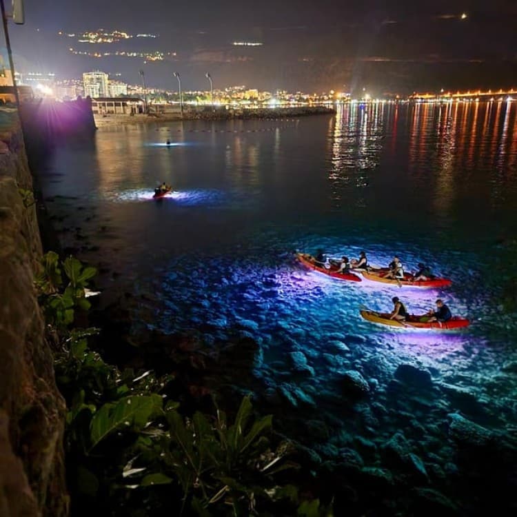 Budva: Night Lights Kayak and SUP Adventure | ®ExcursionMania - Image 3