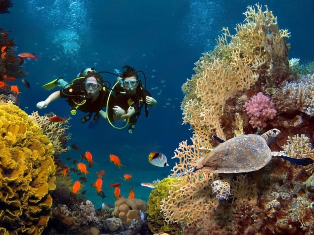 Phuket: Racha Island and Coral Islands  Scuba Beach Dive | ®ExcursionMania - Image 7