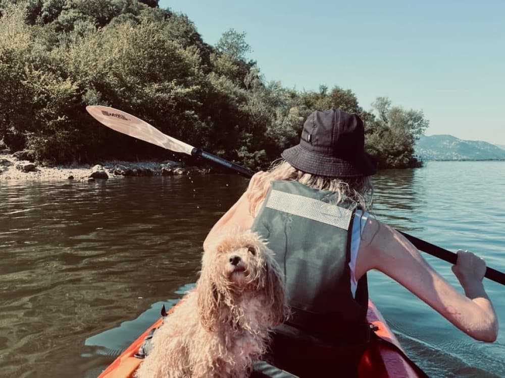 Explore Skadar Lake: SUP & Kayak Rentals in Montenegro | ®ExcursionMania - Image 2