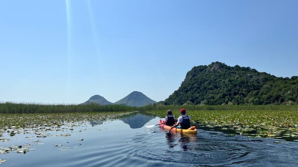 Explore Skadar Lake: SUP & Kayak Rentals in Montenegro | ®ExcursionMania - Image 7