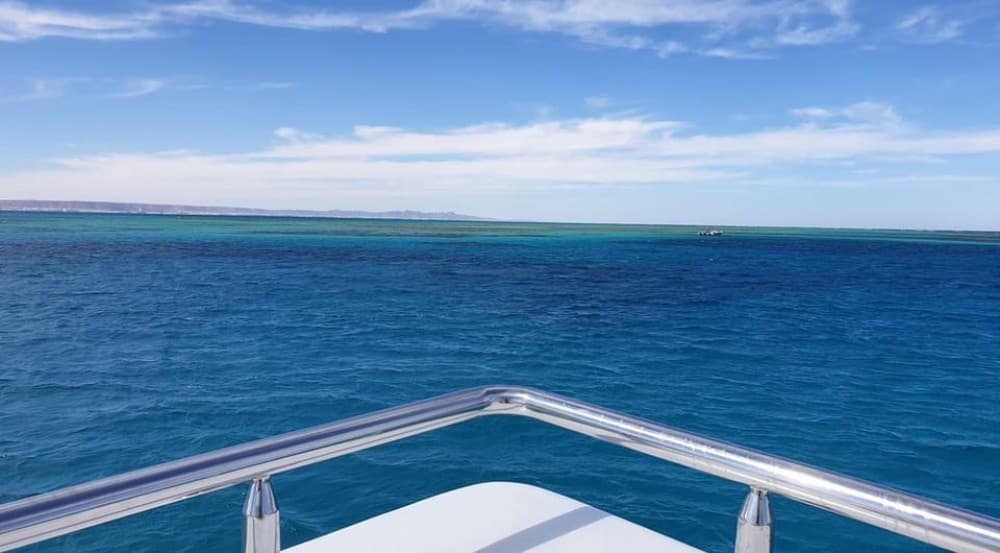 Cairo: Luxury Snorkeling Cruise & lunch with optional pickup | ®ExcursionMania - Image 7