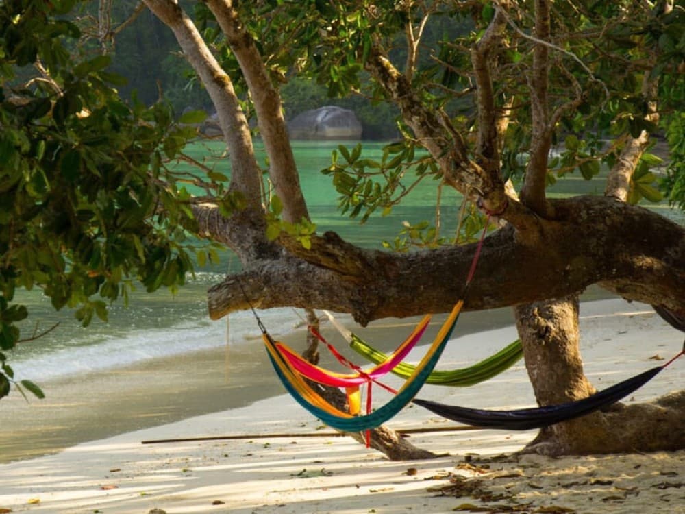 Phuket: Surin Islands Day Tour by Speedboat | ®ExcursionMania - Image 1