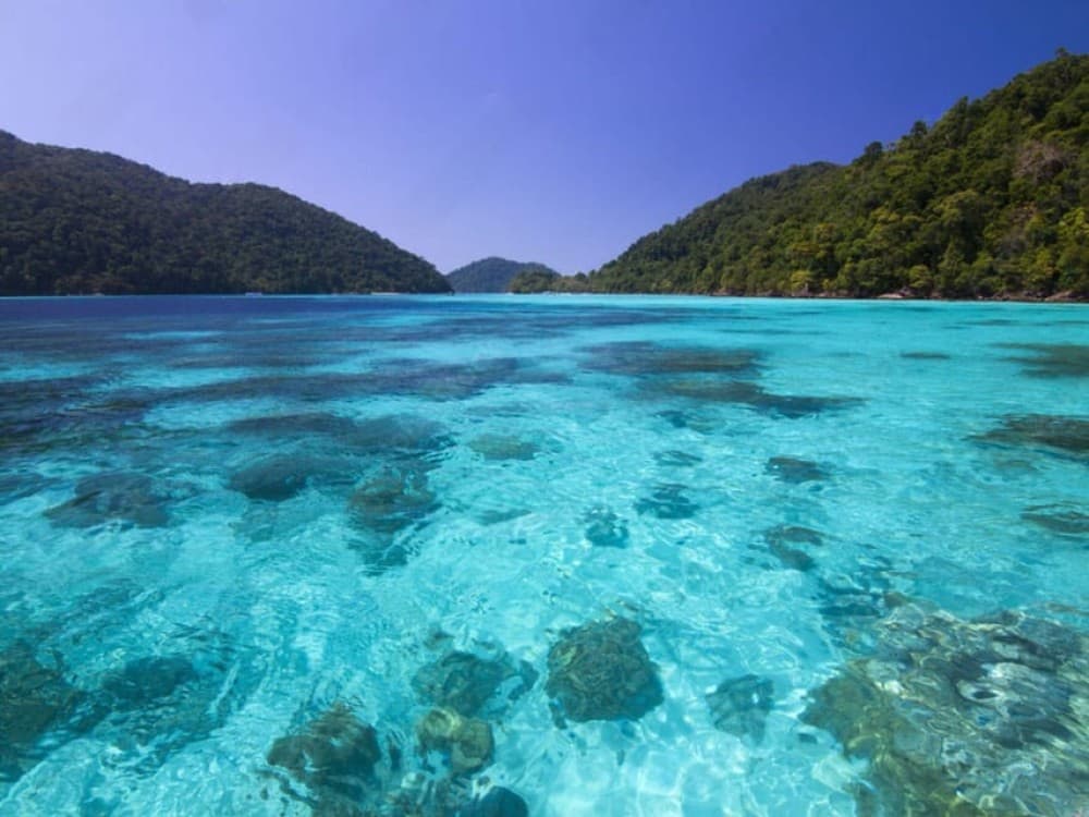 Phuket: Surin Islands Day Tour by Speedboat | ®ExcursionMania - Image 2