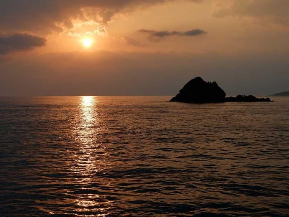 Phuket: Coral Island Snorkeling and Sunset Catamaran Cruise | ®ExcursionMania - Image 10