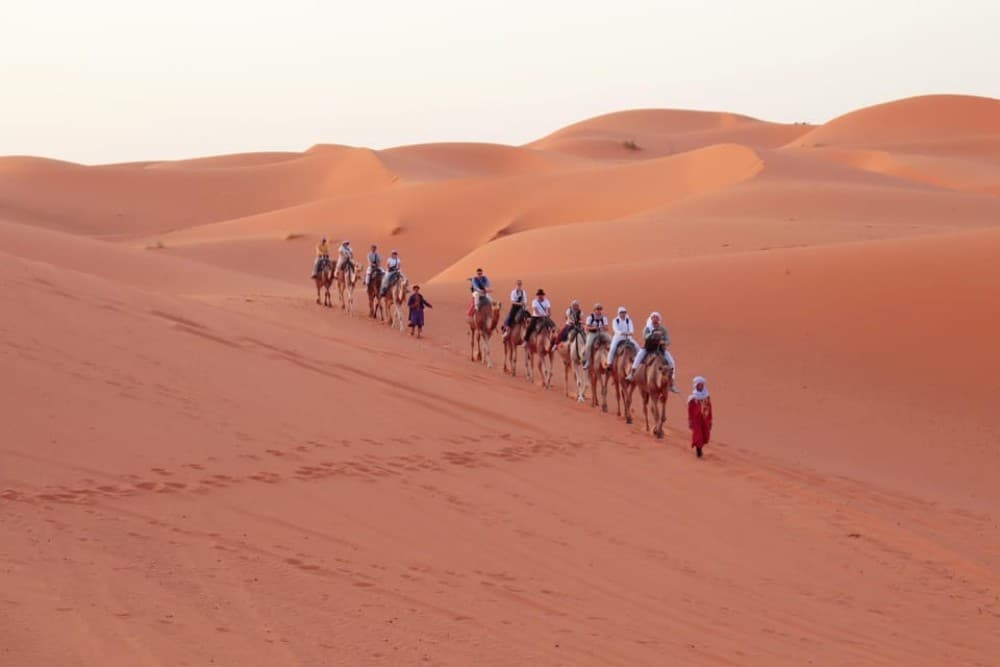 From Marrakech: Merzouga 3-Day Desert Safari with Food | ®ExcursionMania - Image 5