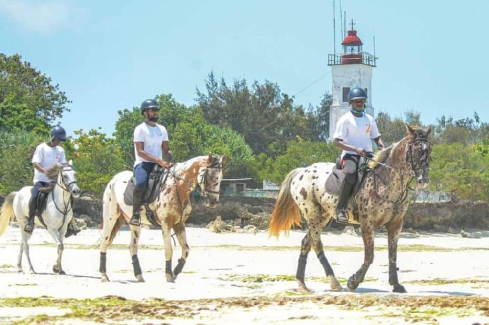 Zanzibar : Discover the Beauty of Horseback Riding | ®ExcursionMania - Image 1
