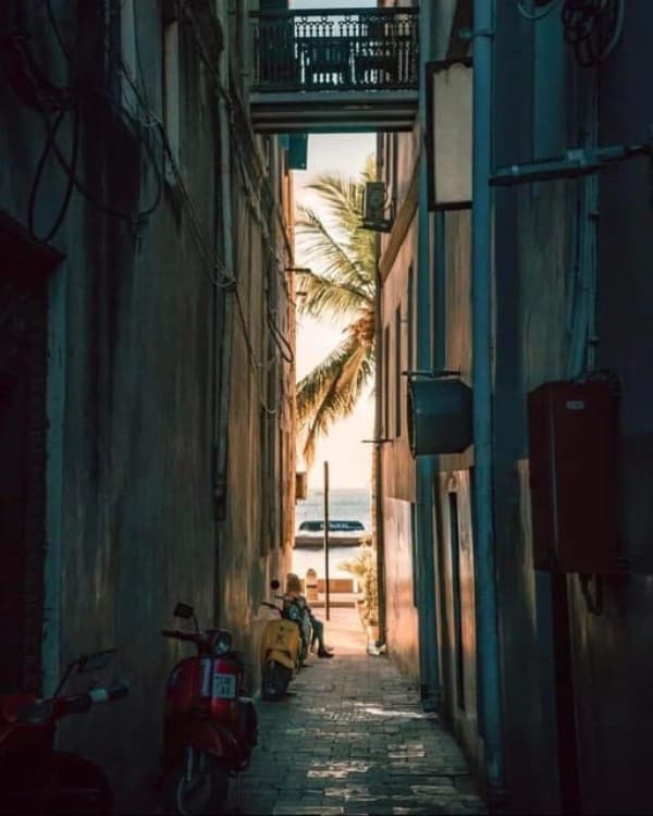 Zanzibar: Stone town Insights & Jozani forest Exploration | ®ExcursionMania - Image 5