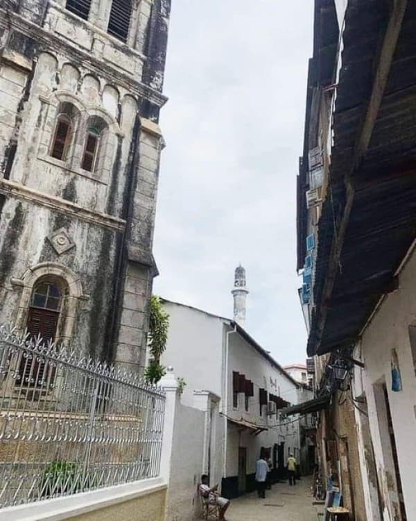 Zanzibar: Stone town Insights & Jozani forest Exploration | ®ExcursionMania - Image 10