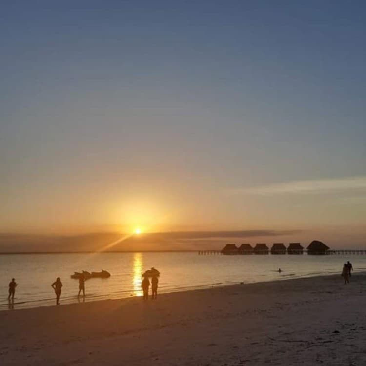 Sunset Dow Cruise at Kendwa Beach | ®ExcursionMania - Image 2