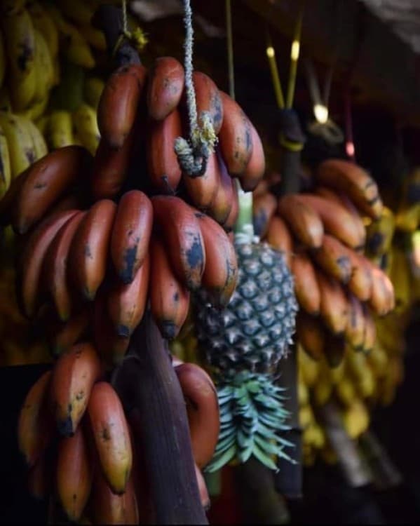 Zanzibar: Spice Tour  Stone Town Walking Tour | ®ExcursionMania - Image 8