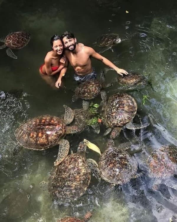 Zanzibar: Swim with turtles at Nungwi | ®ExcursionMania - Image 5