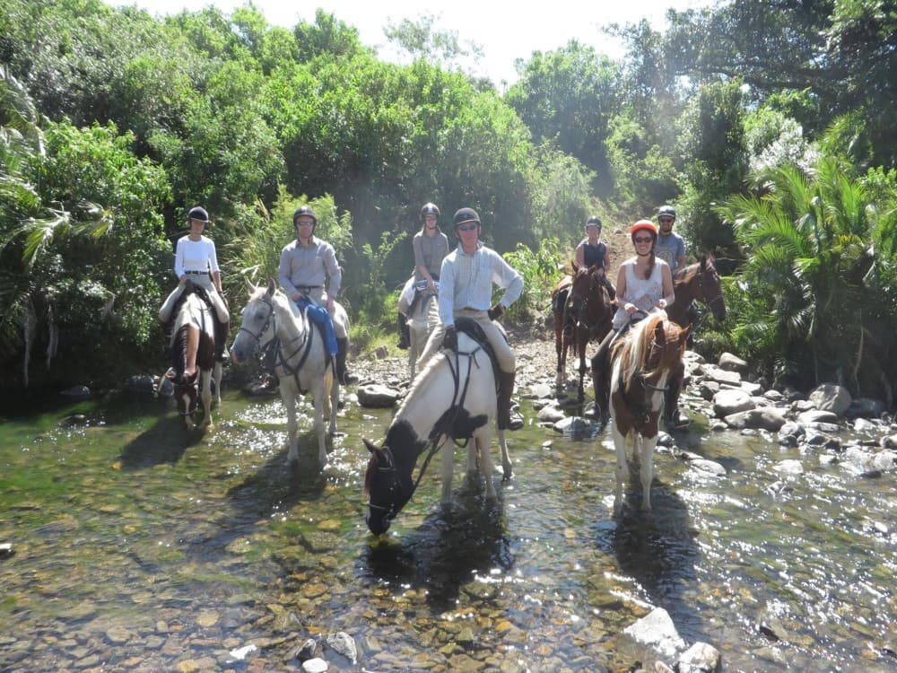Kusadasi Horse Safari Tour: Explore the Beach and Forest | ®ExcursionMania - Image 2