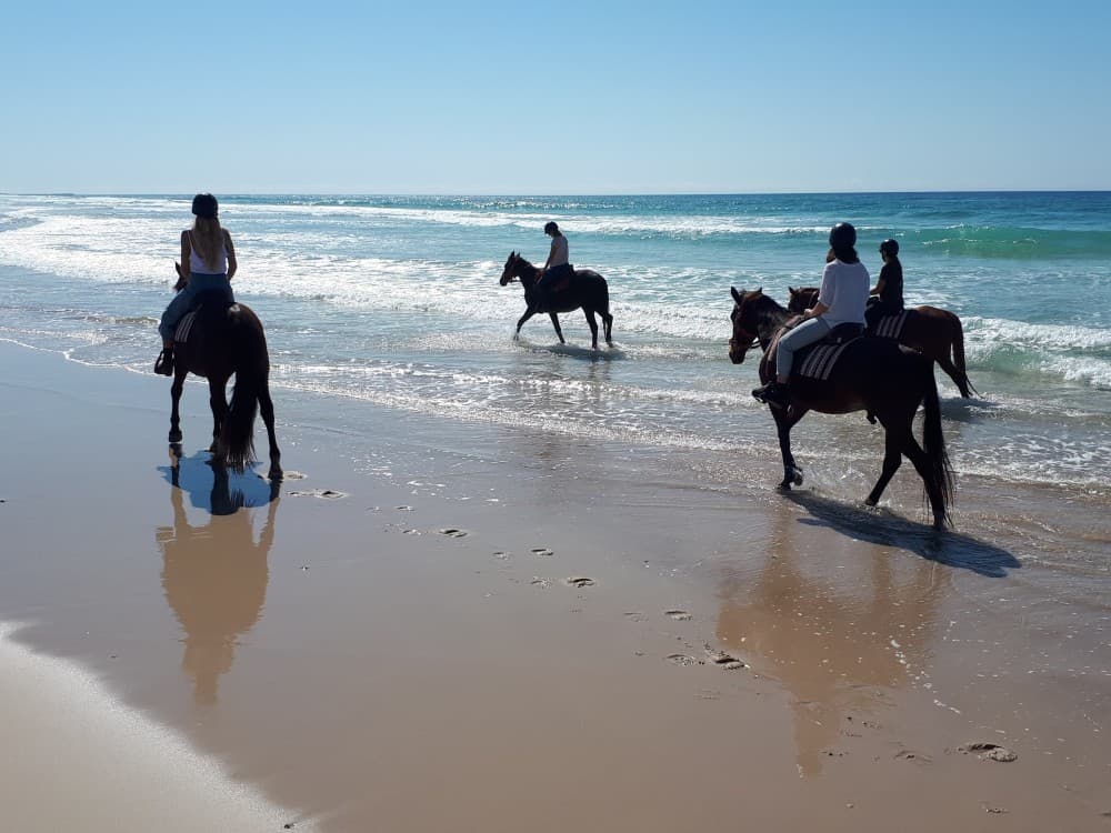 Kusadasi Horse Safari Tour: Explore the Beach and Forest | ®ExcursionMania - Image 5