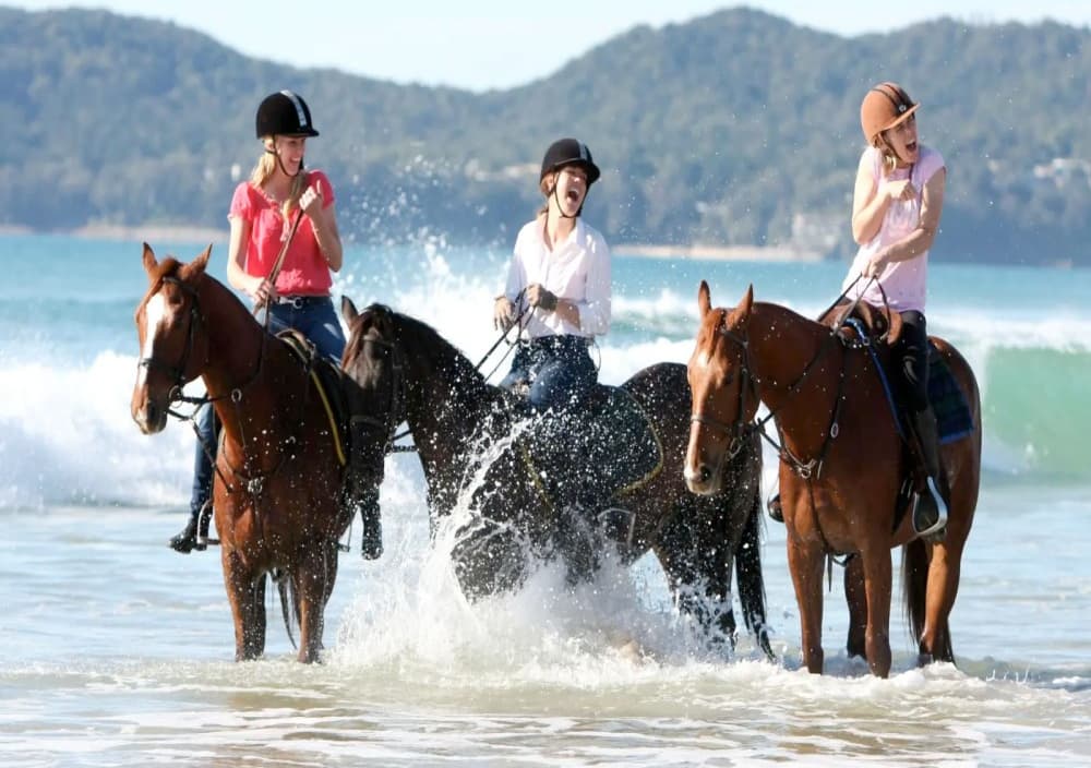 Kusadasi Horse Safari Tour: Explore the Beach and Forest | ®ExcursionMania - Image 6