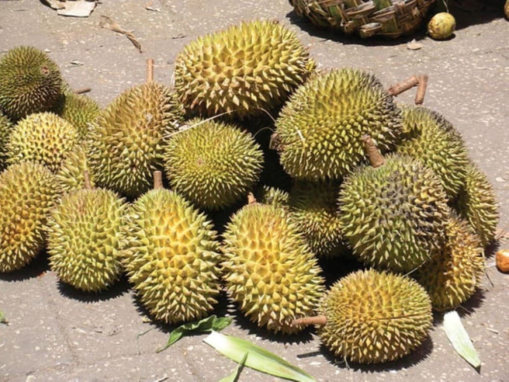 Zanzibar: Jozani and Spice Escape | ®ExcursionMania - Image 7