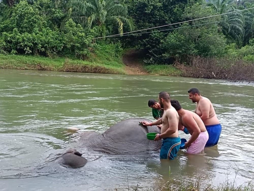 Phuket: Khao Sok 3 Day 2 Night Adventure Escape with 7 Meals | ®ExcursionMania - Image 7