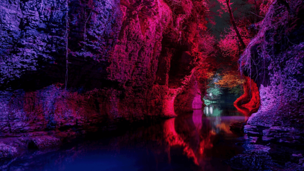 From Batumi: Martvili Canyon and Prometheus Cave Tour | ®ExcursionMania - Image 6