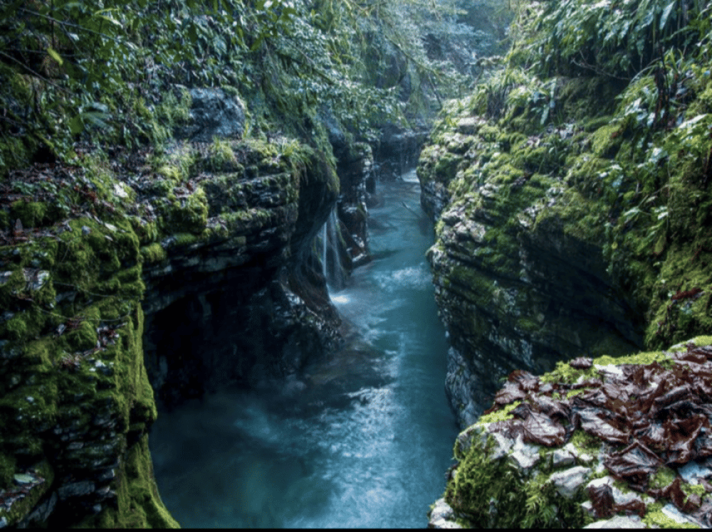 From Batumi: Martvili Canyon and Prometheus Cave Tour | ®ExcursionMania - Image 10
