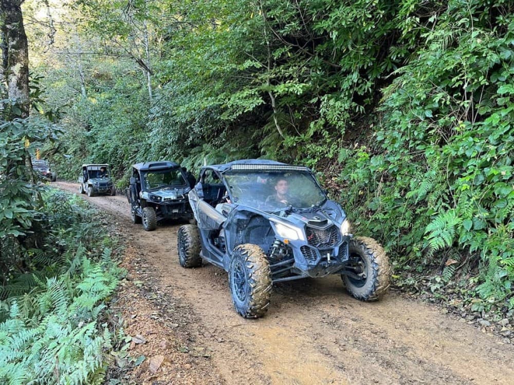 Batumi: Mtirala ATV, Buggy and Horse Riding Adventure Trip | ®ExcursionMania - Image 5