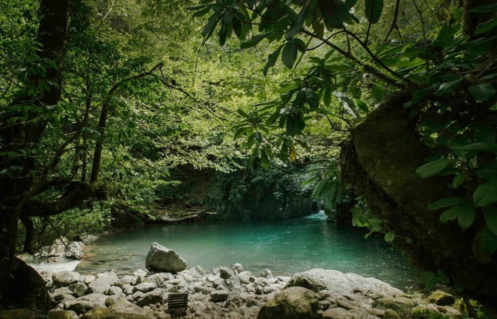 Batumi: Mtirala ATV, Buggy and Horse Riding Adventure Trip | ®ExcursionMania - Image 6