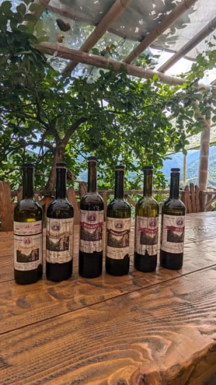 Wine & Dine Tour To Batumi Waterfalls - Mountainous Adjara | ®ExcursionMania - Image 2