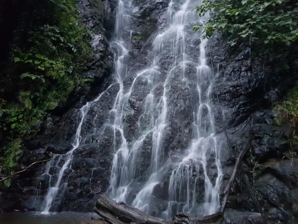 Wine & Dine Tour To Batumi Waterfalls - Mountainous Adjara | ®ExcursionMania - Image 3