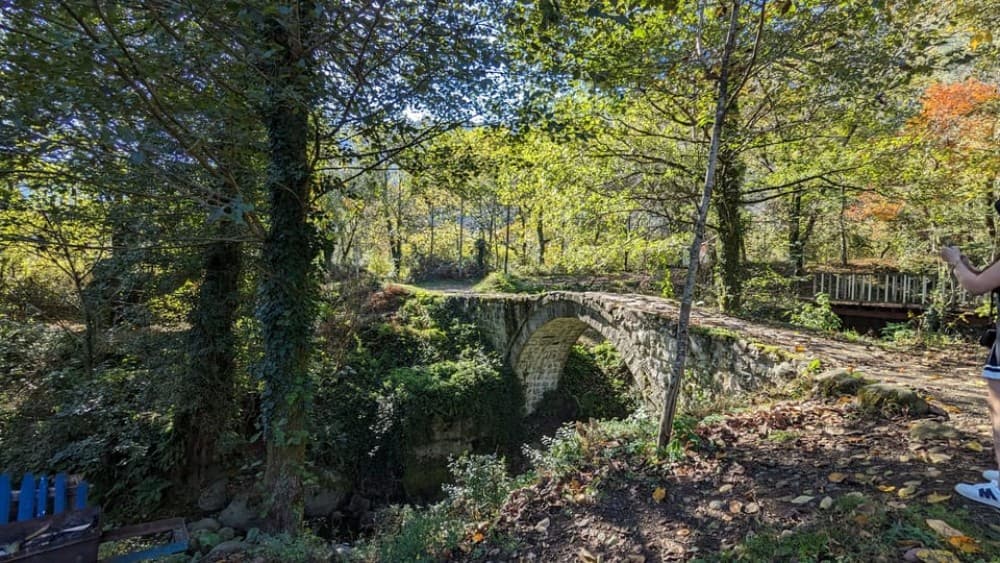 Wine & Dine Tour To Batumi Waterfalls - Mountainous Adjara | ®ExcursionMania - Image 11