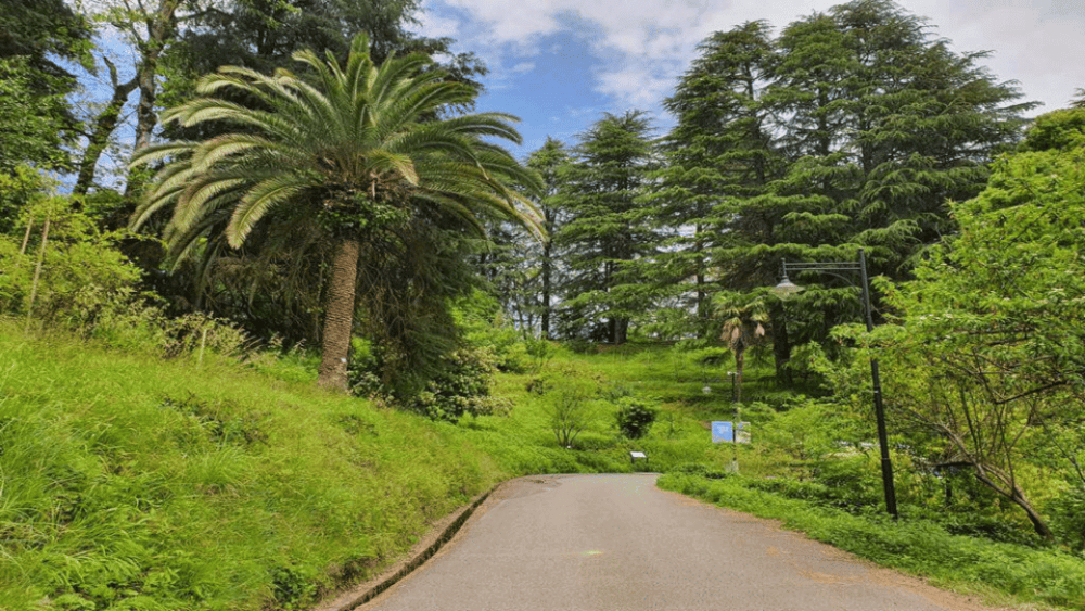 Batumi: Botanical Garden Petra Fortress and Miniatures Park | ®ExcursionMania - Image 11
