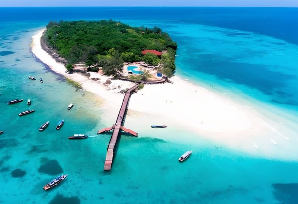 From Nungwi/Kendwa: Prison Island & Nakupenda Sandbank Tour | ®ExcursionMania - Image 2