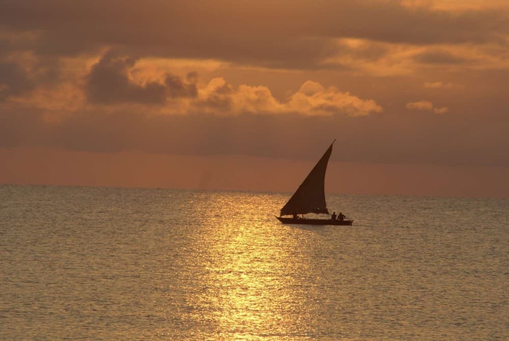 Zanzibar: From Stone Town Sunset Dhow Cruise | ®ExcursionMania - Image 5